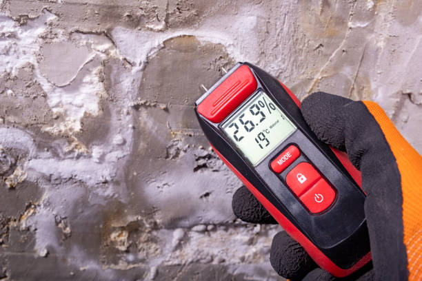 Best Crawl Space Mold Removal  in Wonder Lake, IL